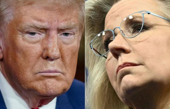 Donald Trump suggests putting his opponent, Liz Cheney, “in front of a gun”, Kamala Harris protests