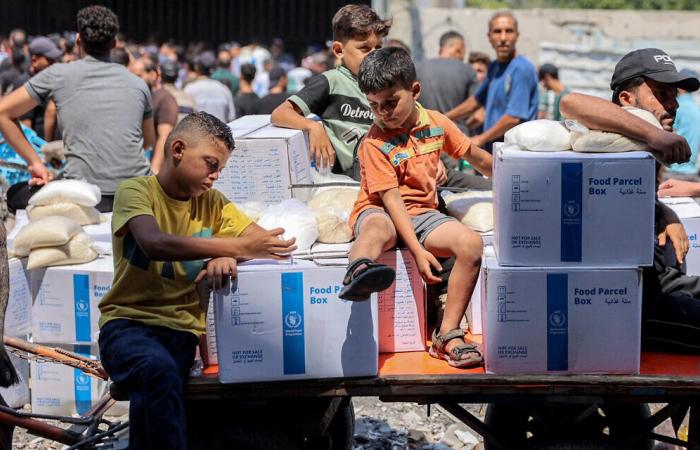 What impact on UNRWA activity do the new Israeli laws have?