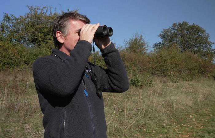 Between plain and mountain, these three sites with rare and fragile biodiversity have become a nature reserve