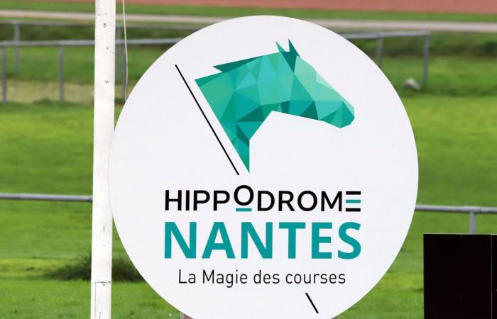 Rashford, Le Riskel, Color Ritano: everything about the meeting of the Grand Prix de Nantes Défi du Galop