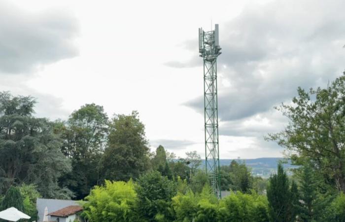 a collective opposes the installation of a 5G antenna in Vert