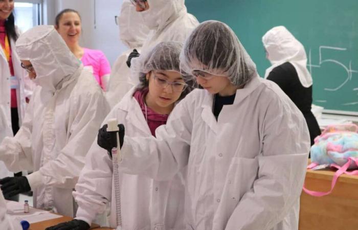 Record number of girls interested in science