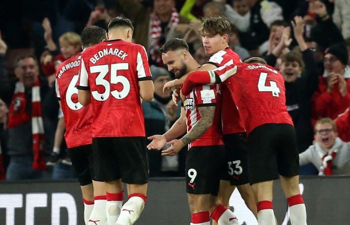 Southampton 1 Everton 0: Saints bag first win in huge relief to under-fire Russell Martin as Toffees rue missed sitter