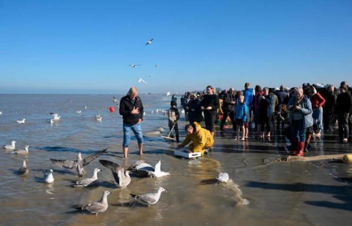 A Belgian municipality is the “last place in the world where people fish this way”