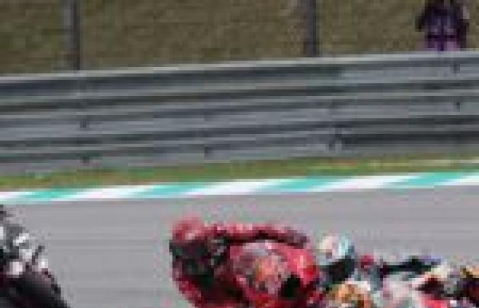 The LCR box lets its delight explode, after Zarco's performance in MotoGP – Le Mag Sport Auto