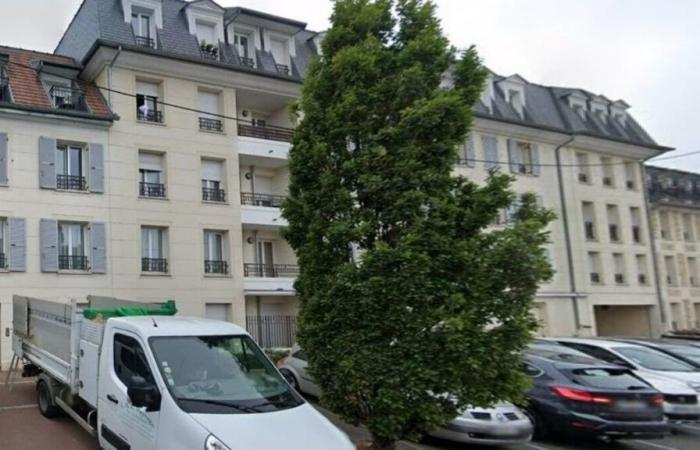 Yvelines: Hector, a fifty-year-old killed by 35 stab wounds, a suspect arrested