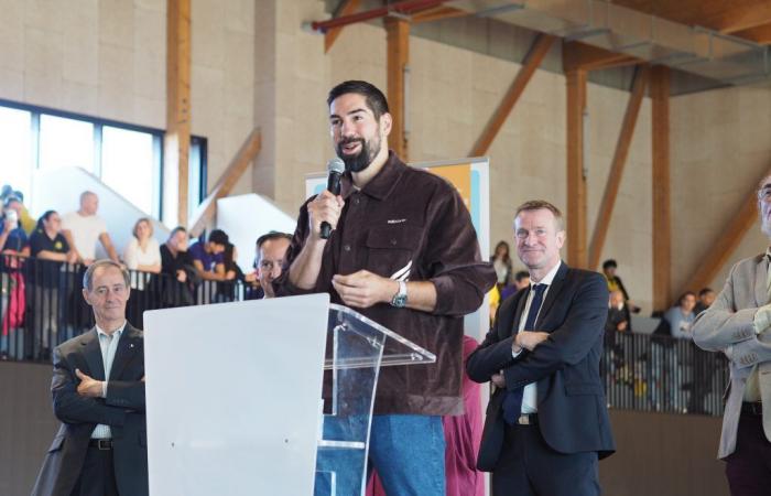 Essonne: the Nikola Karabatik gymnasium in Mennecy amazes