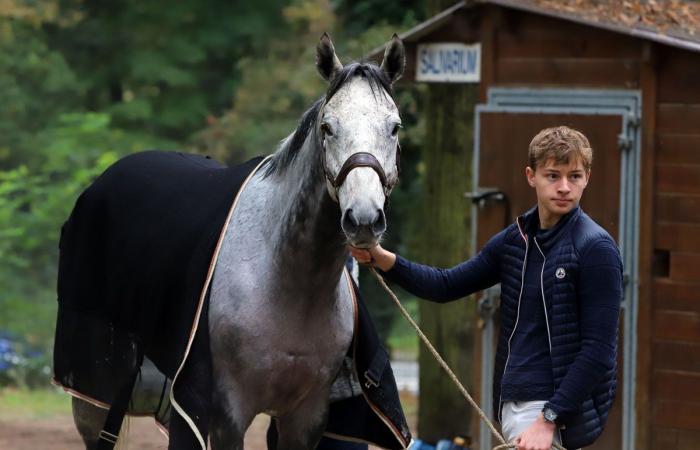 Rashford, Le Riskel, Color Ritano: everything about the meeting of the Grand Prix de Nantes Défi du Galop