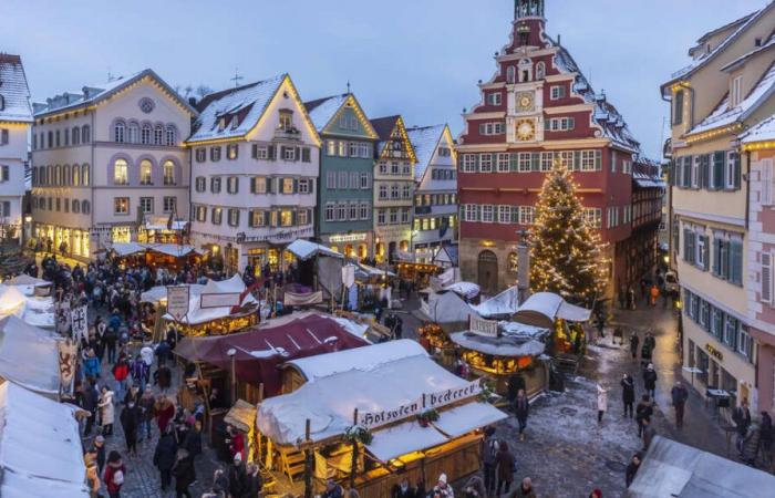 Aldi is holding a cheap Christmas market in Stuttgart