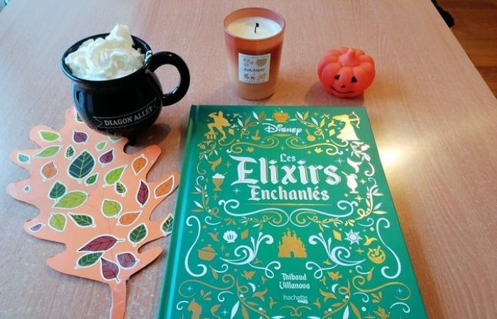 [Critique livre] Gastronogeek: Disney Enchanted Elixirs