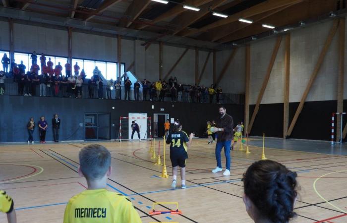 Essonne: the Nikola Karabatik gymnasium in Mennecy amazes