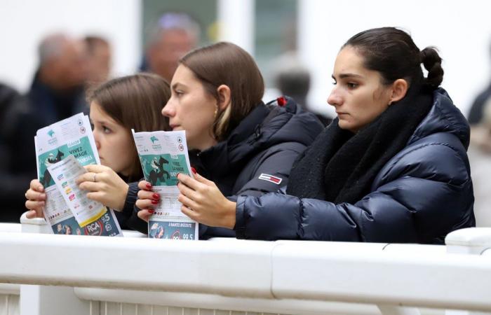 Rashford, Le Riskel, Color Ritano: everything about the meeting of the Grand Prix de Nantes Défi du Galop