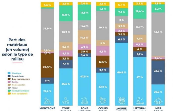 what is the top 10 waste found in nature in France?