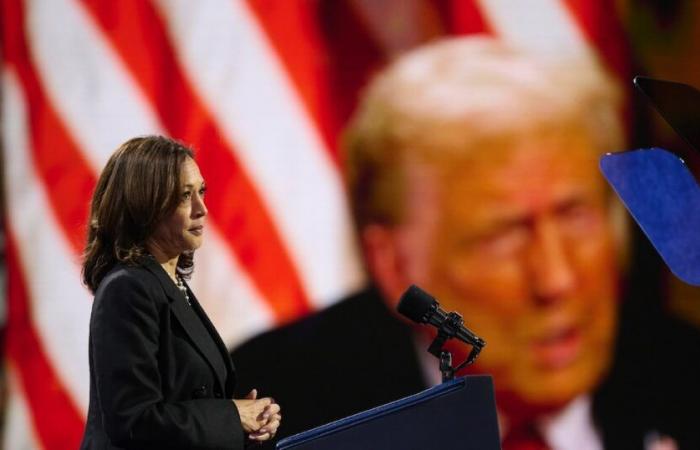 Kamala Harris or Donald Trump, the weight of the expatriate vote – L’Express