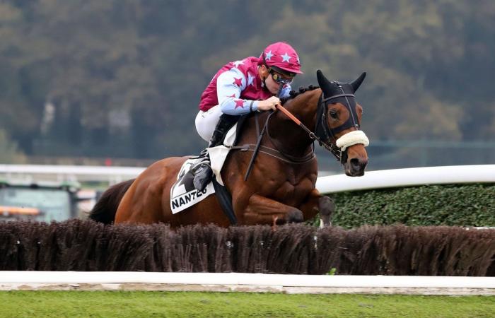 Rashford, Le Riskel, Color Ritano: everything about the meeting of the Grand Prix de Nantes Défi du Galop