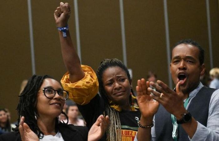 Indigenous and Afro-descendant peoples declare victory at COP16 | COP16 on biodiversity