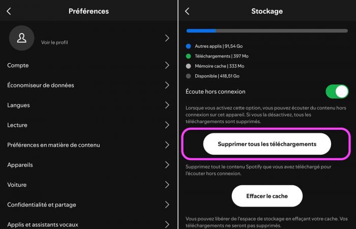 how to totally delete offline files