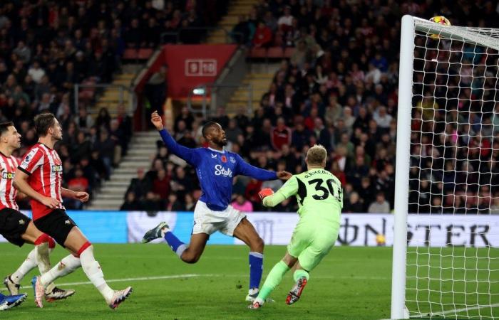 Southampton 1 Everton 0: Saints bag first win in huge relief to under-fire Russell Martin as Toffees rue missed sitter