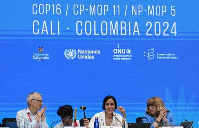 COP16 concludes agreement on genetic resources