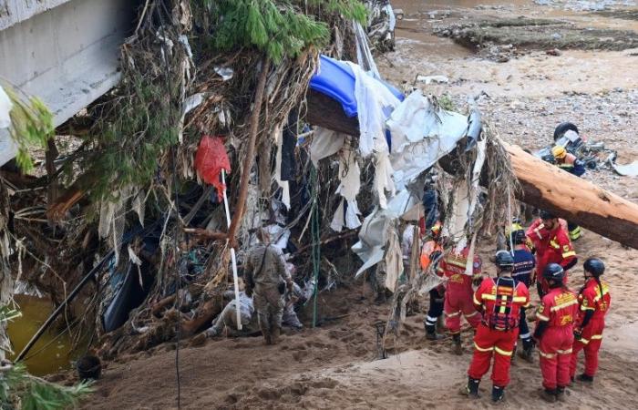 Floods in Spain: search for bodies continues with new reinforcements