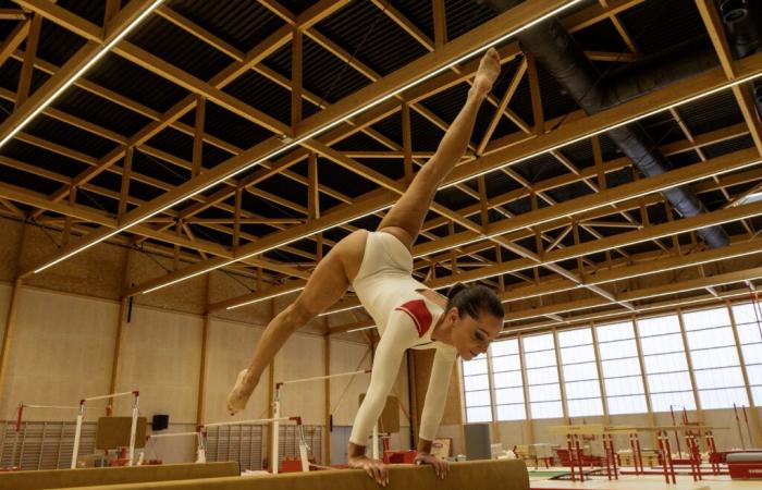 Who is Ludivine Furnon, who gives her name to the Halle des Sports in Nîmes?