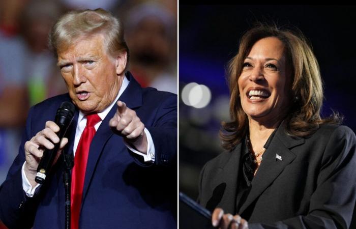 Trump or Harris? The results of the polls on D-3 of the vote