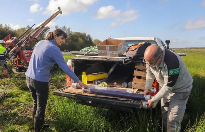 a study to probe the depths of the Orx marsh, a potential carbon sink