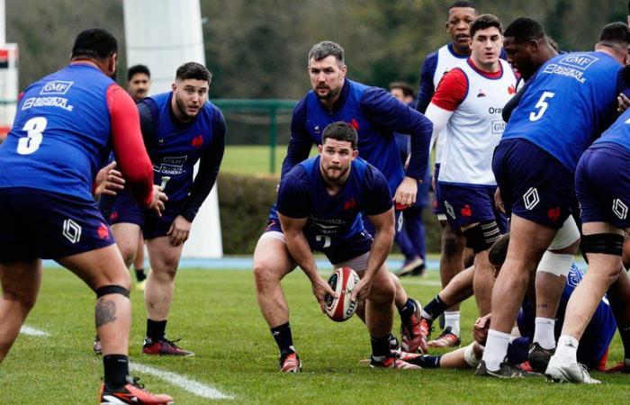 XV of France – Excluded Midol: Julien Marchand back with the Blues