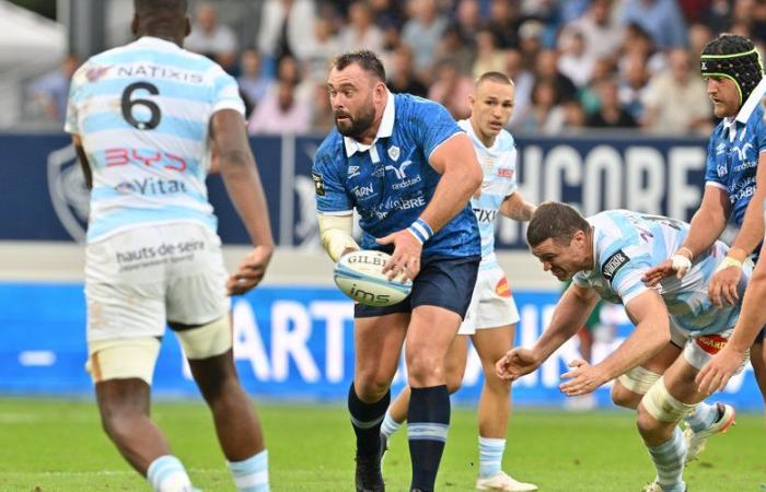 Top 14 – Castres-Montpellier: Will Collier, the pearl of Castres