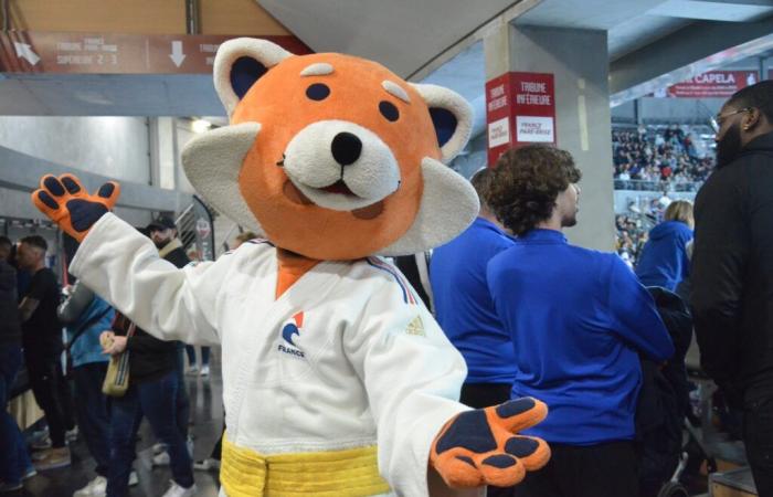 The Coliseum in the colors of the French Judo Championships… an obvious success! – info-chalon.com