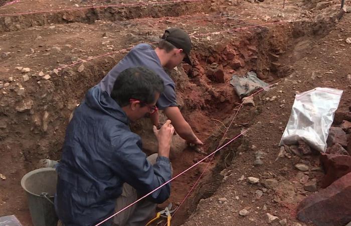 archaeologists, students and volunteers uncover a medieval fort