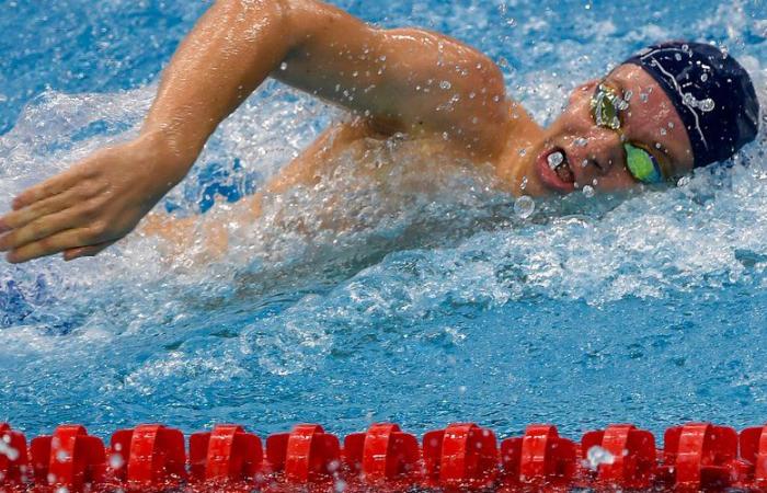 VIDEO. Léon Marchand at the Swimming World Cup: new golden crown for the Toulouse native, close to his record in the 400m medley