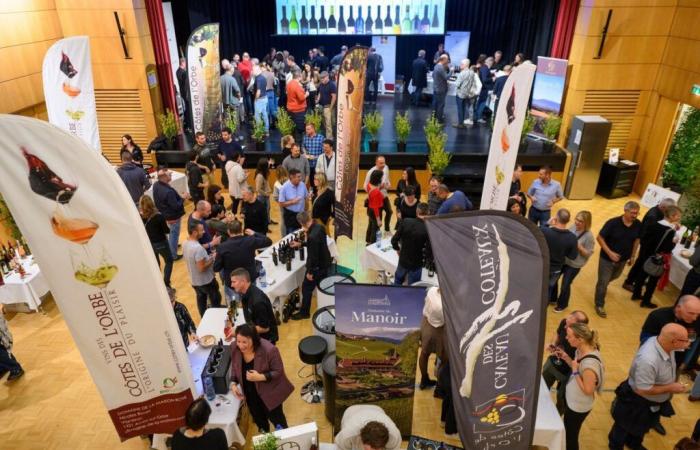 Foot of the Jura: Côtes de l'Orbe wine fair