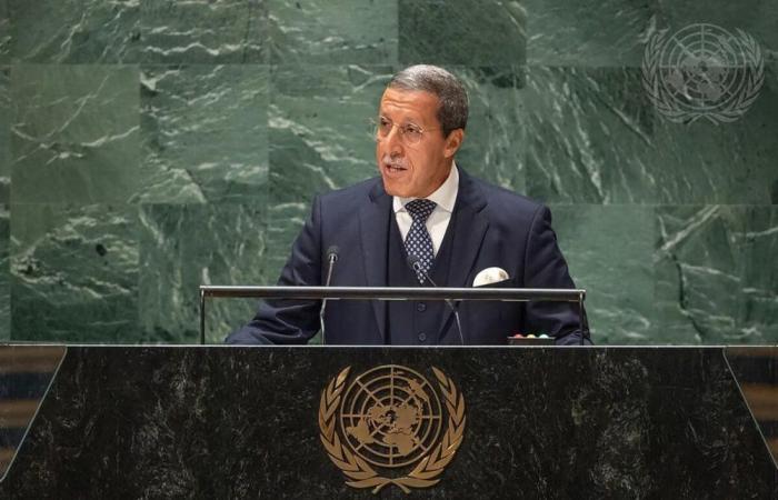 Sahara: Security Council resolution positions autonomy plan as sole basis (Hilale)