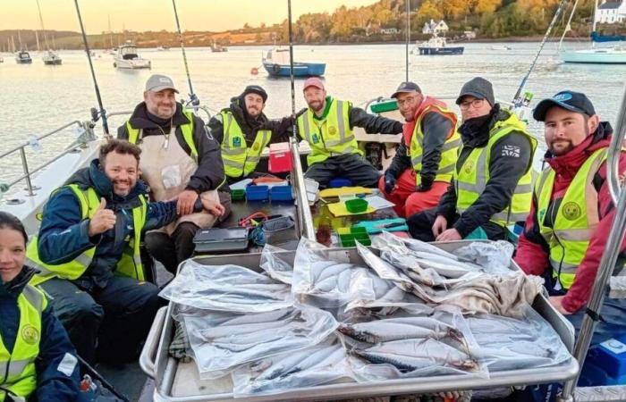 Anti-doping controls, seasickness and frozen mussels: the Swiss epic at the World Sea Fishing Championship