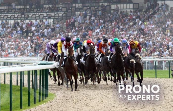 Expert predictions for meeting 1 in DEAUVILLE this Sunday, November 3