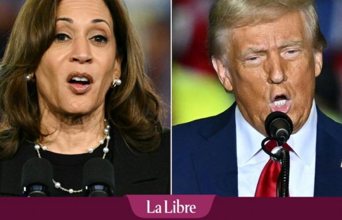 American election between Kamala Harris and Donald Trump: a candidate in the lead in the final polls