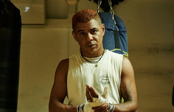 “Behind the gloves, I became masculinized”, Maho, the first transgender boxer in Europe, will finally fight man against man