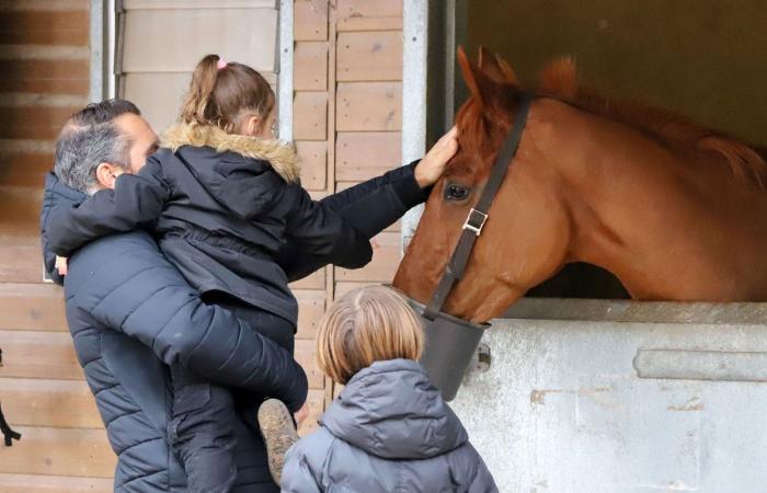 Rashford, Le Riskel, Color Ritano: everything about the meeting of the Grand Prix de Nantes Défi du Galop