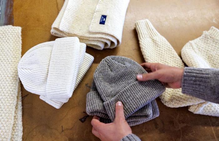 Quebec wool | An industry that wants to get back on track