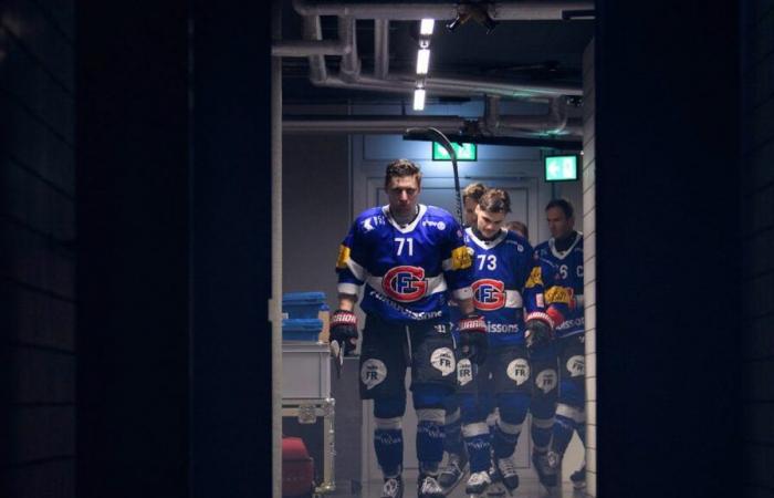 Hockey: They are the faces of this Fribourg-Gottéron which disappoints