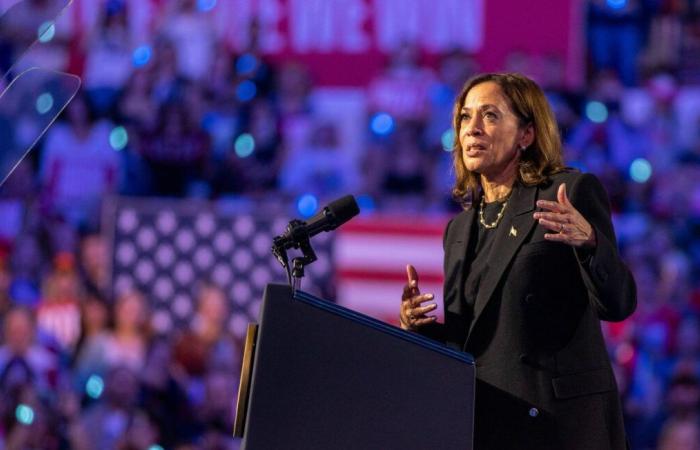 Trump's verbal abuse 'disqualifies' him for White House slams Harris