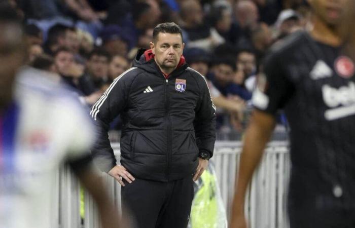 The regrets of Pierre Sage (Lyon) after the draw against Lille