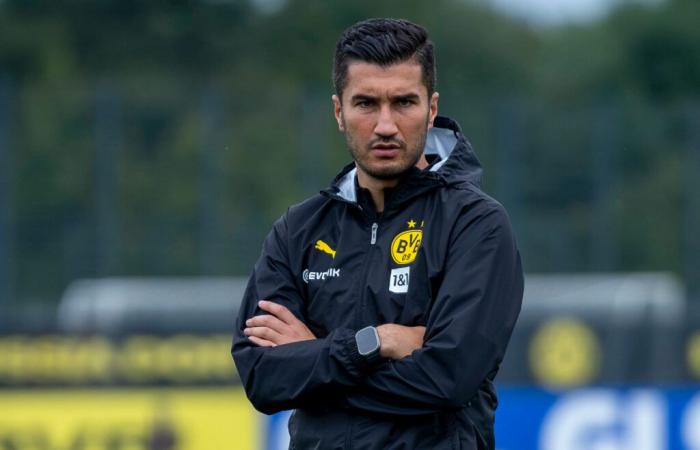 Borussia Dortmund draws conclusions – drastic measures