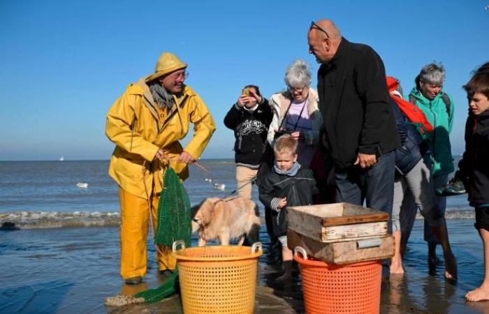 A Belgian municipality is the “last place in the world where people fish this way”