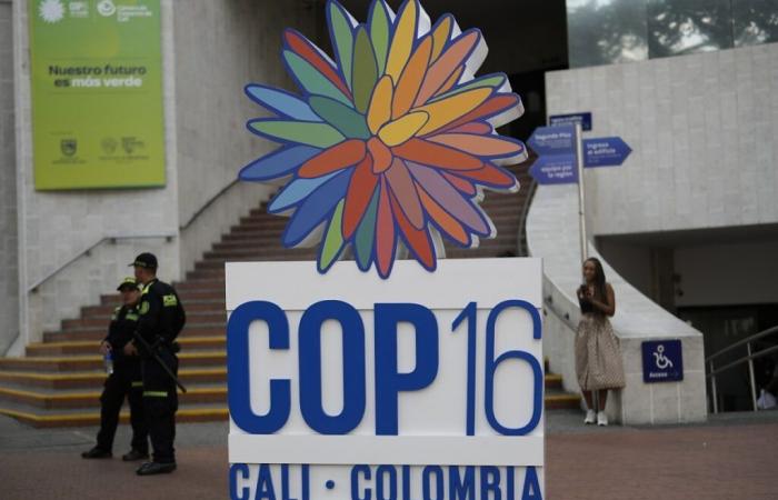 The outcome of COP16 on biodiversity becomes clearer in Cali