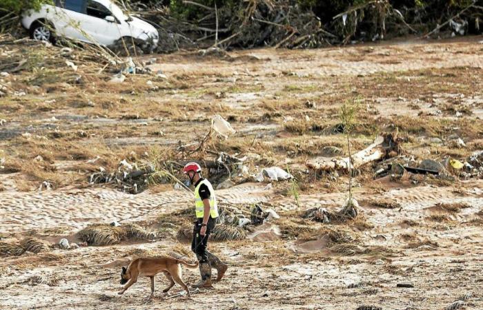 Floods in Spain: search for bodies continues with new reinforcements [Vidéo]