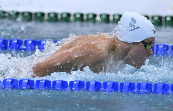 the Swimming Federation is preparing the succession of the French team with the 2028 Olympics in mind