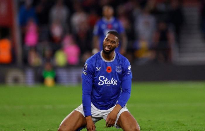 Southampton 1 Everton 0: Saints bag first win in huge relief to under-fire Russell Martin as Toffees rue missed sitter