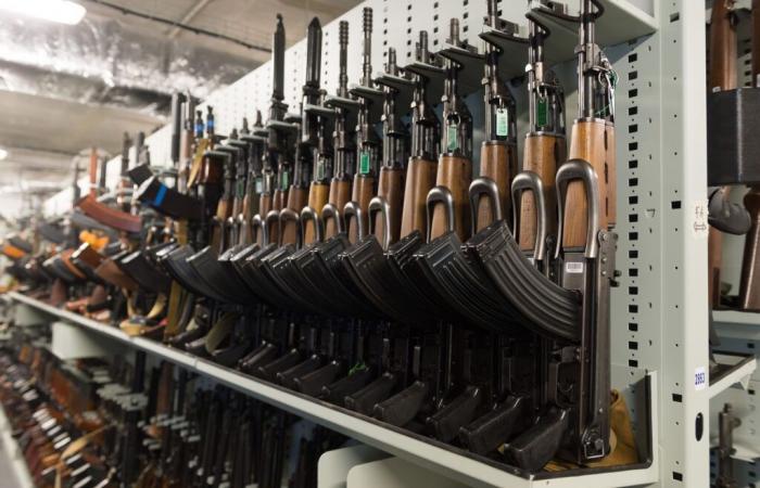 how many firearms are actually circulating in France?